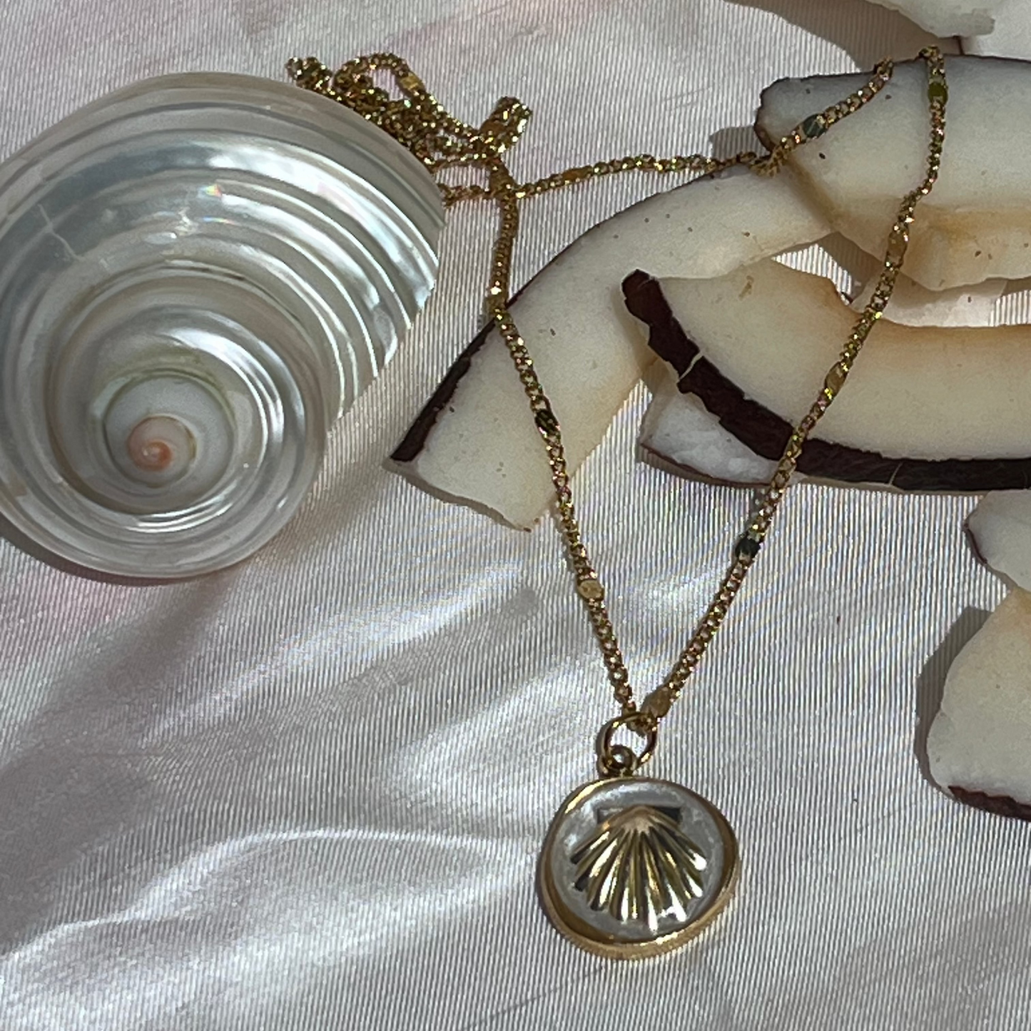 Collier Coral Reef